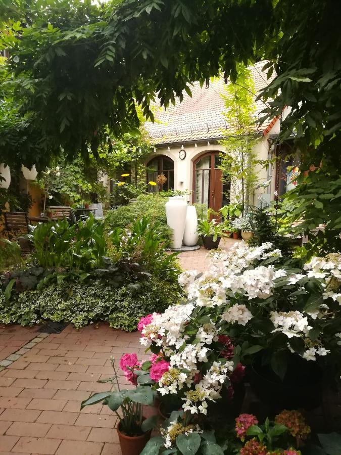 Faehrhaus Meissen B&B Exterior foto