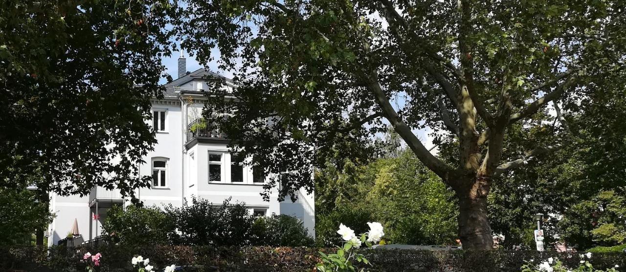 Faehrhaus Meissen B&B Exterior foto